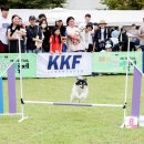 나투어리베 이미지