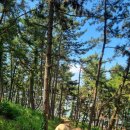 보령카페솔레미 | 원산도자연휴양림 해안산책로 2.8km | 숙박 안 해도 이용 가능