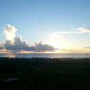 부신농장 이미지