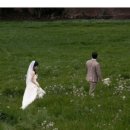 하우스(HAUS) | 제주 웨딩스냅 추천 | 신생업체 하우스오브로 (@haus.ofro) 계약후기