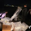 인천광역시 강화군 인천광역시 강화군 양사면사무소 이미지