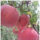 선바위농원 이미지