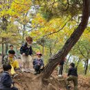 어울림숲학교
