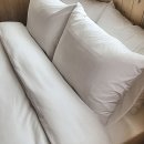 강원세탁 이미지