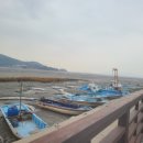 선두5리항 이미지