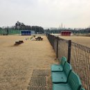 와스타디움 이미지