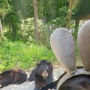 오월드2 이미지