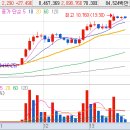 (주)셀락바이오 이미지