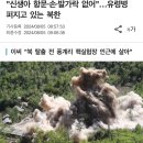 "신생아 항문·손·발가락 없어"…유령병 퍼지고 있는 북한 이미지