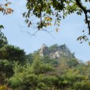 향원장여관 이미지