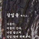 갈잎 이미지