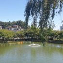 중리천로113번길 이미지