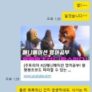 빅박스(BigBox) | [서울대입구 영어회화] 영어 편입 준비, 투멘토잉글리쉬 1:1 원어민 수업으로 스피킹까지 잡은 비결!