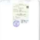 대구 번역사무소 이미지