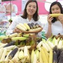 의령농협 하나로마트