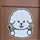 뽀송뽀송강아지미용실 | 김해강아지미용 신상 애견미용실 ‘댕댕모아’에서 크림이 힐링 목욕하고 온 날