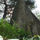 대자연횟집 이미지