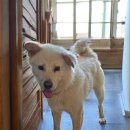 중거리마을회관 이미지