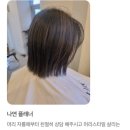 로아비헤어 연산시청점