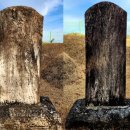 반남박씨박원도묘 | ◎ 반성 부원군(潘城府院君) 박응순(朴應順)