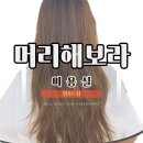 보라헤어샵 네이버블로그