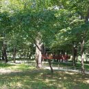 악양면사무소 이미지