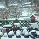 흙과삶농장 이미지