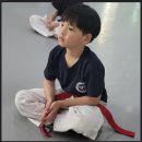 다올태권도 이미지