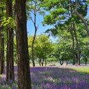 우로지생태공원 공중화장실 이미지