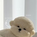 너를닮은케이크 이미지