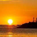 마음의 울림 이미지