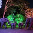 대웅주유소 이미지