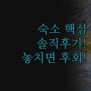 비스타모텔 | 추천 | 내돈내산 솔직 후기 비교 분석 | 레인포레스트 10 카티지스 벨라 비스타 | 반려동물 스파 위치별...