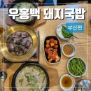 우홍백 | 부산 경성대 맛집 우홍백 돼지국밥 본점 후기(주차, 이벤트 등)