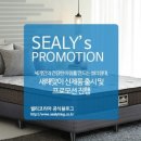 씰리침대 - 김포시 태장로 741 | 씰리침대