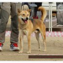 화수초등학교 이미지