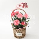 스노우폭스플라워제주화북점 네이버블로그