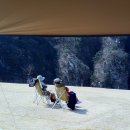 달이 머무는 집 이미지