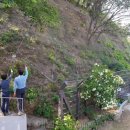 서림동-44 이미지