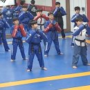 경희대박사태권도 이미지
