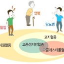 이상지질혈증 위험성 이미지