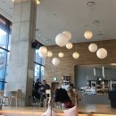 라이즈베이커리