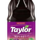 테일러파트너스 이미지