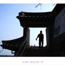 달빛되어 이미지