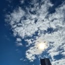 새날의원 이미지