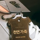 모던플렉스