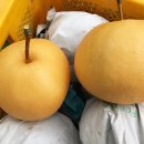 원주원예하나로클럽 이미지