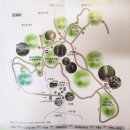 숲 | 부산 기장 아홉산숲 후기 / 입장료, 주차, 산책코스 총정리