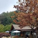 별빛산장 이미지