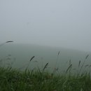 동양목장 이미지